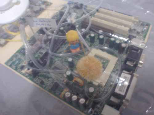 photo